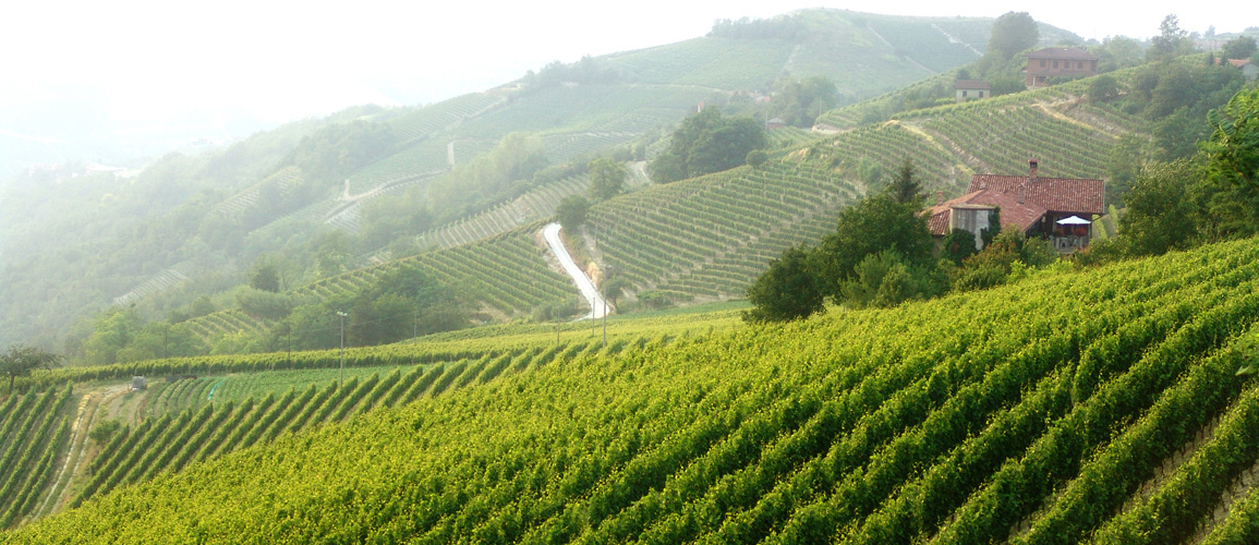 Langhe Piedmont