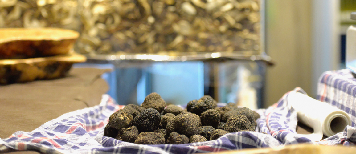 Black truffles