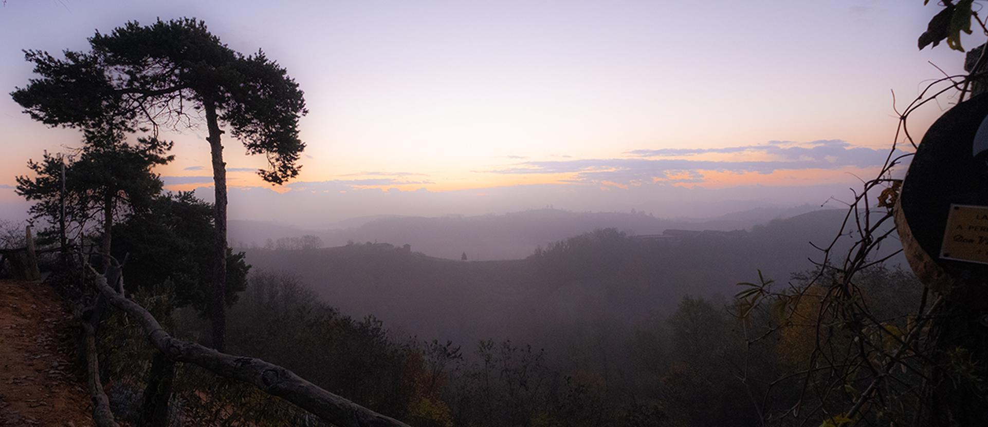 Helping you find a dream home