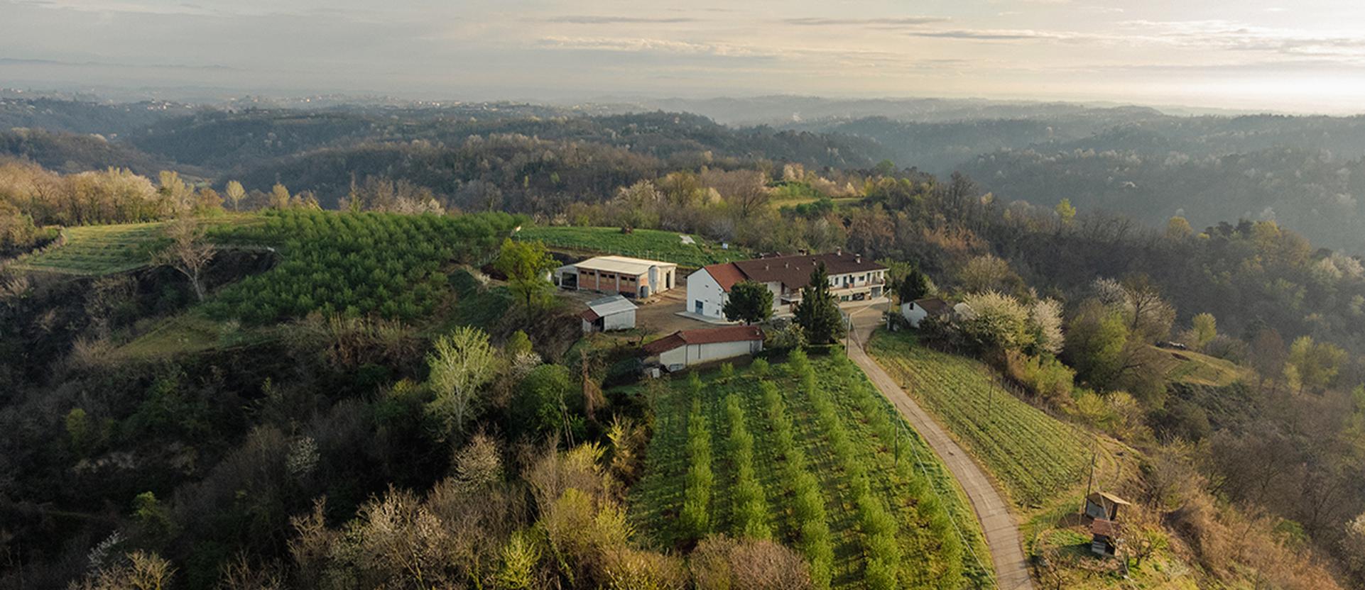 Interesting things in the Piedmont real estate market