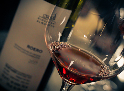 Langhe Roero wine - piedmont houses