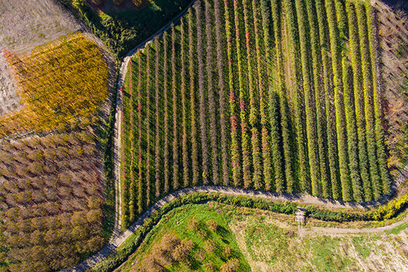 Real estate photography by Richard A. Edwards - Langhe Property