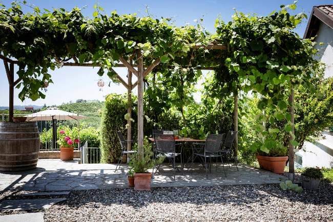 Beautiful Stone House with Breathtaking Views in Piedmont