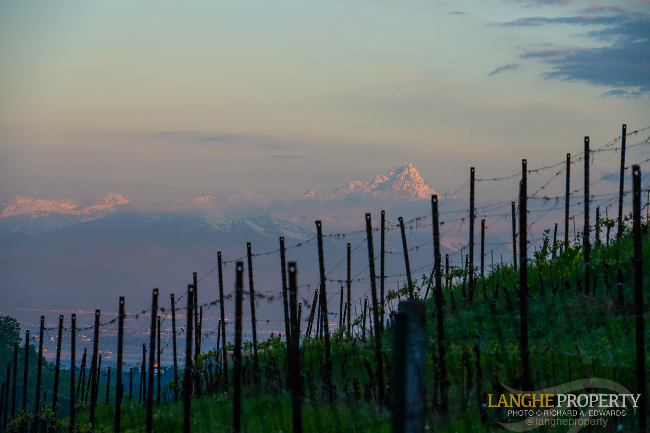 Luxury fully restored Langhe-stone farmhouse
