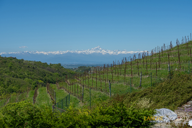 Luxury fully restored Langhe-stone farmhouse
