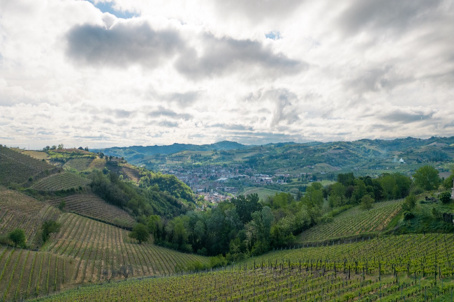 Quality wine production & home for sale