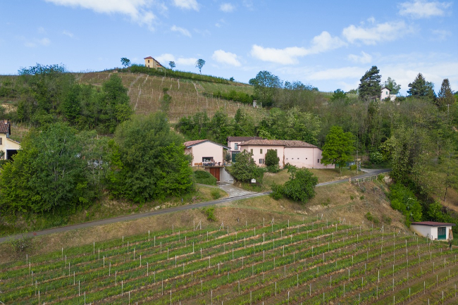 Quality wine production & home for sale