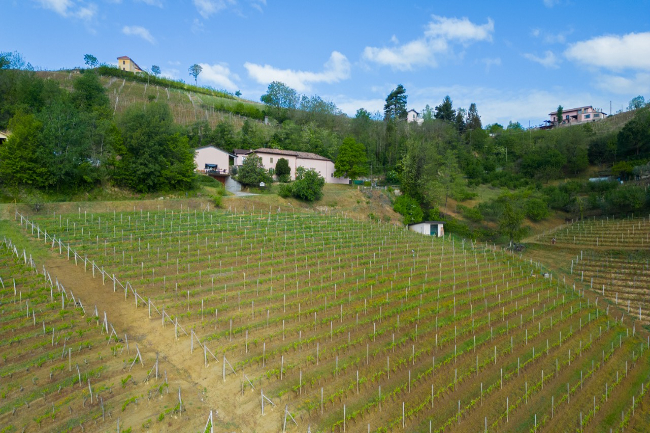 Quality wine production & home for sale