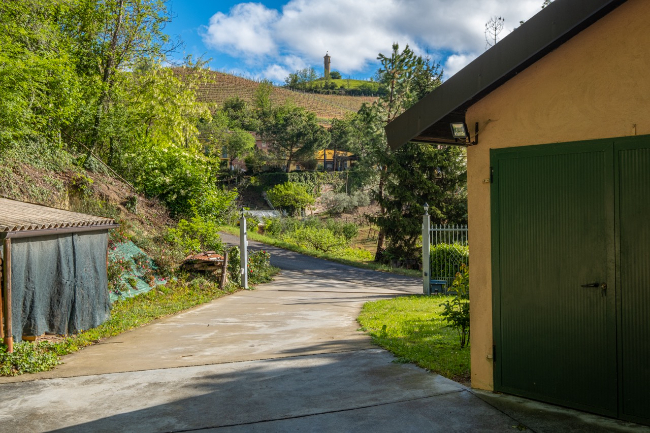 Quality wine production & home for sale