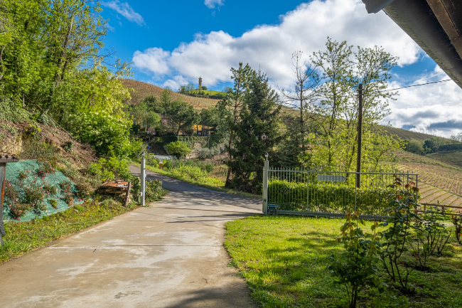 Quality wine production & home for sale