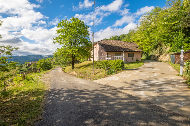 Quality wine production & home for sale