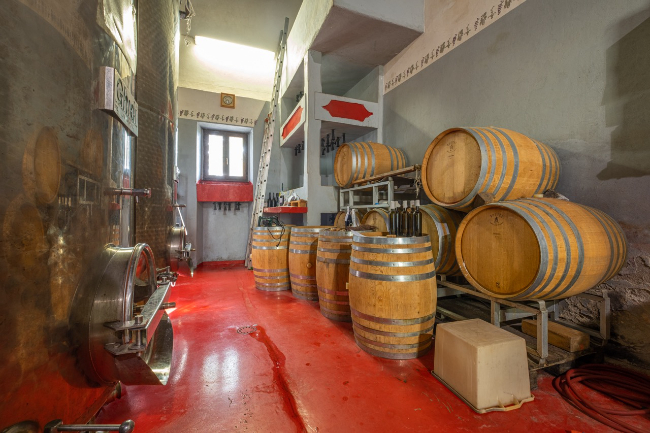 Quality wine production & home for sale