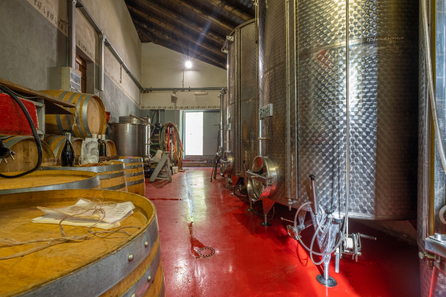 Quality wine production & home for sale