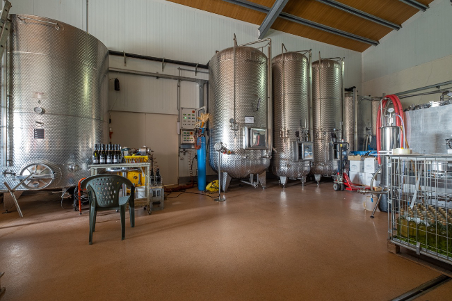 Quality wine production & home for sale