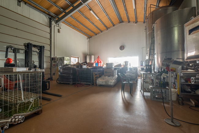 Quality wine production & home for sale