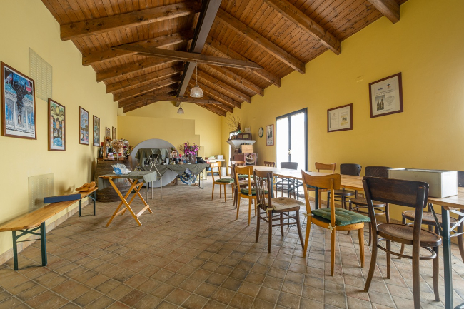 Quality wine production & home for sale