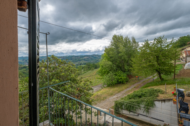 Quality wine production & home for sale