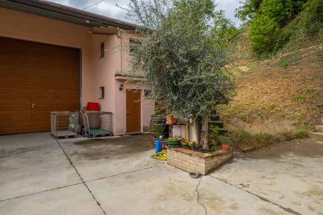 Quality wine production & home for sale