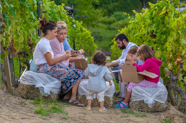 Quality wine production & home for sale