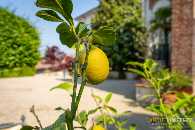 SOLD!!!! Luxury historic villa from the 1800s