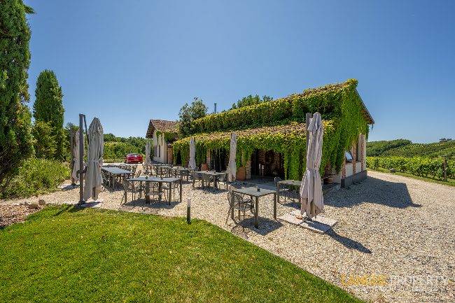 Agriturismo - B&B, restaurant, winery