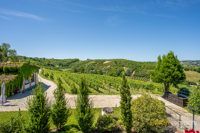 Agriturismo - B&B, restaurant, winery