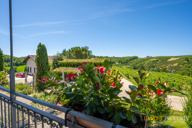 Agriturismo - B&B, restaurant, winery