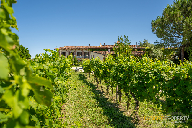 Agriturismo - B&B, restaurant, winery