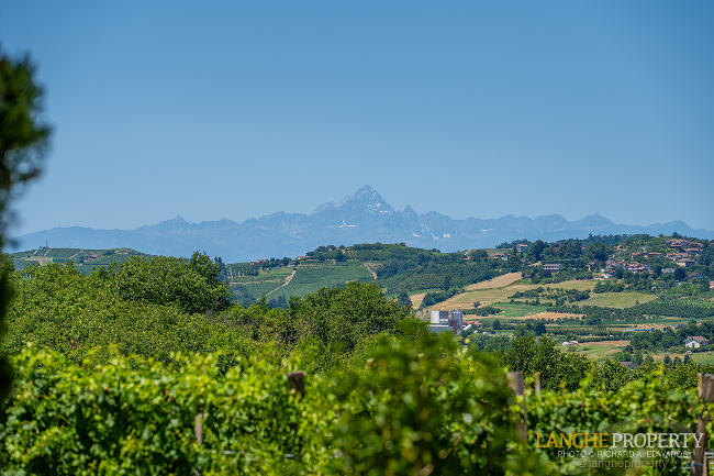 Agriturismo - B&B, restaurant, winery