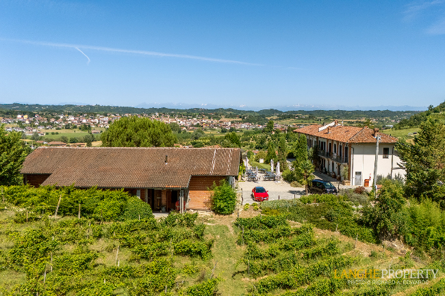 Agriturismo - B&B, restaurant, winery