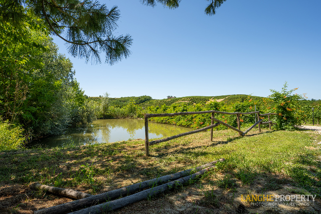 Agriturismo - B&B, restaurant, winery