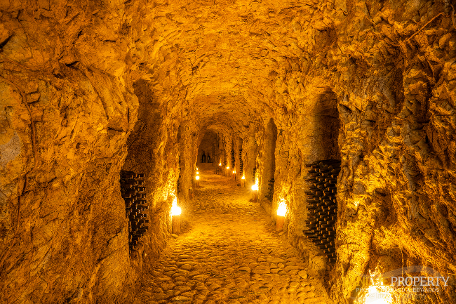 Agriturismo - B&B, restaurant, winery