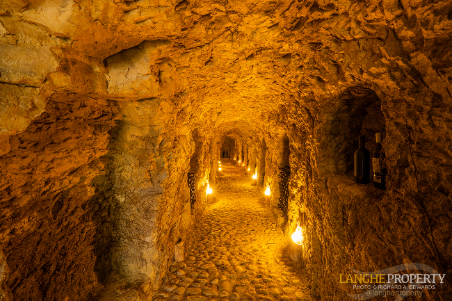 Agriturismo - B&B, restaurant, winery