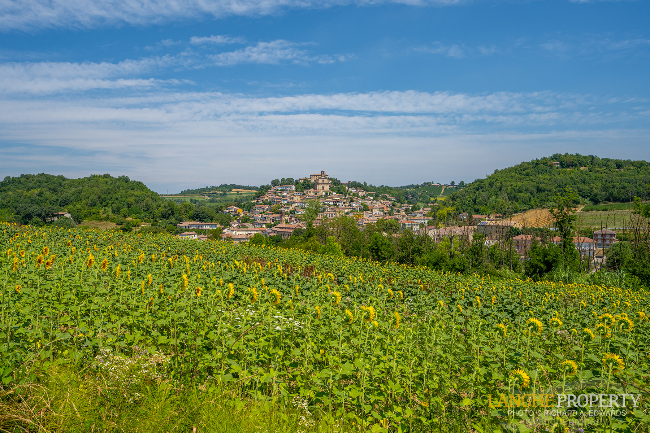 Beautiful home in ancient town for sale in Piedmont