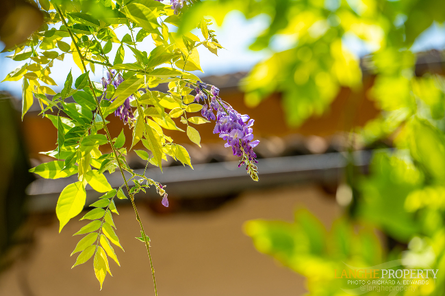 Beautiful home in ancient town for sale in Piedmont