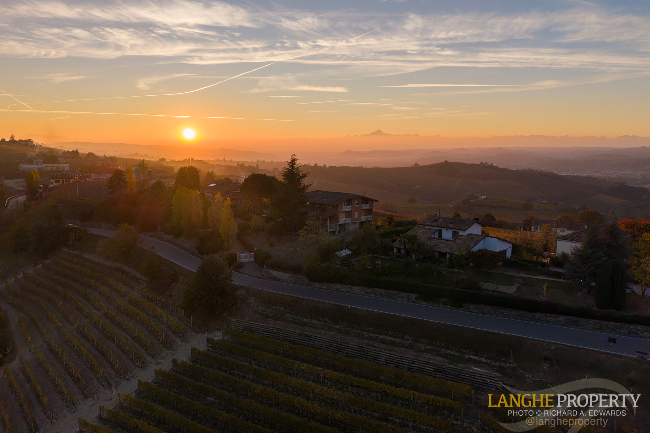 Barbaresco villa with stunning view of vineyards and Alps
