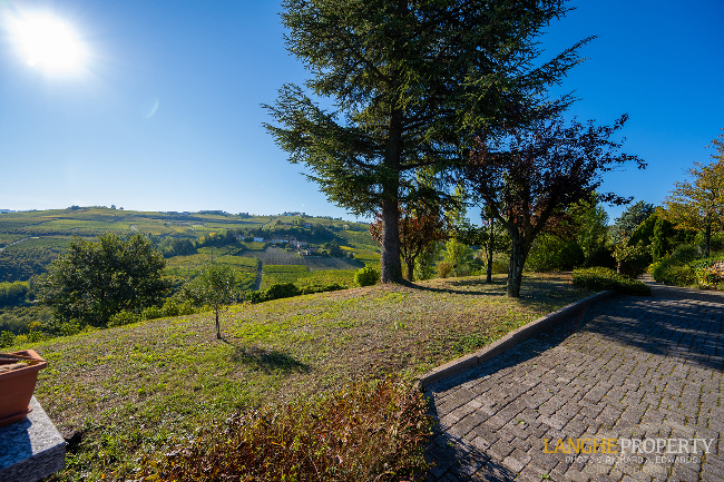 Barbaresco villa with stunning view of vineyards and Alps