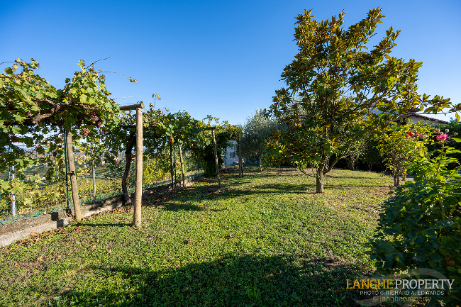 Barbaresco villa with stunning view of vineyards and Alps