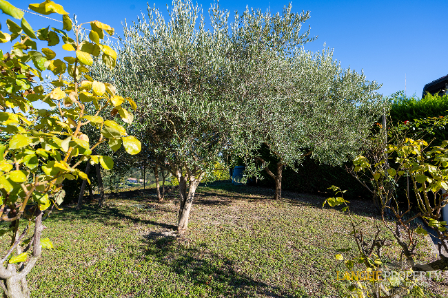 Barbaresco villa with stunning view of vineyards and Alps