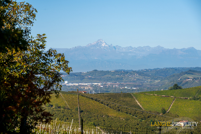 Barbaresco villa with stunning view of vineyards and Alps