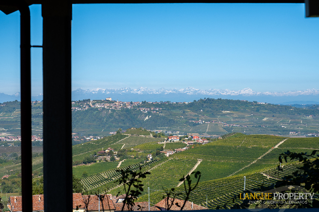 Barbaresco villa with stunning view of vineyards and Alps