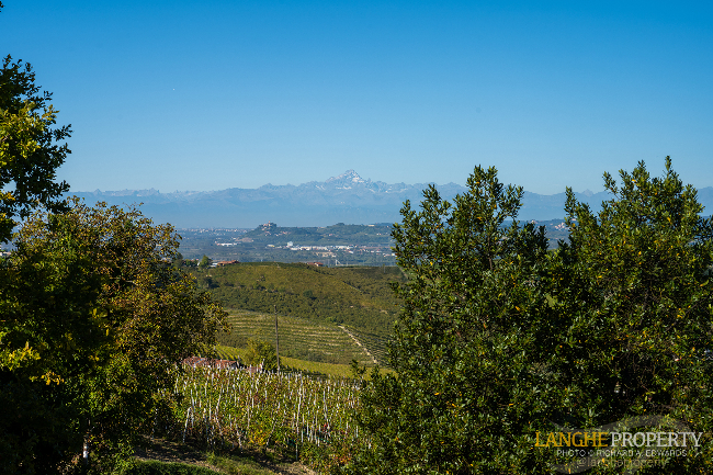 Barbaresco villa with stunning view of vineyards and Alps