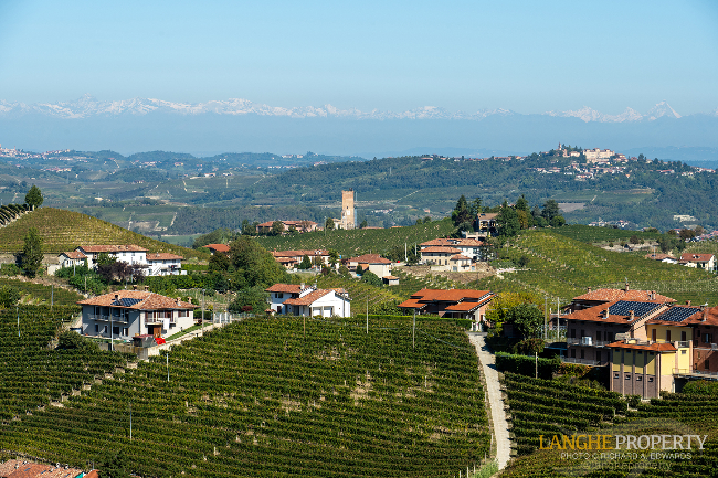 Barbaresco villa with stunning view of vineyards and Alps