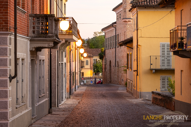 Barbaresco villa with stunning view of vineyards and Alps