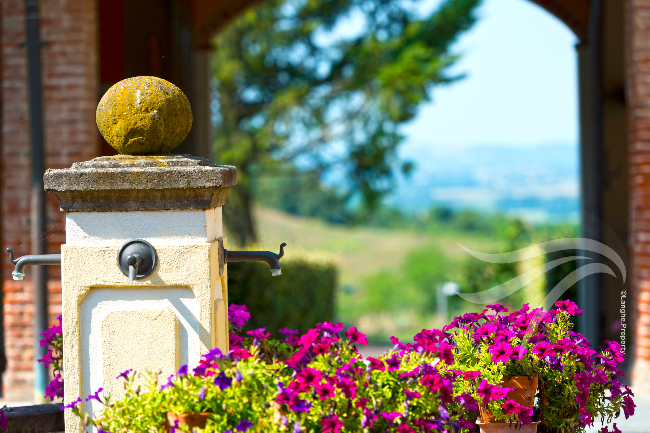 Unique wine property in stunning position