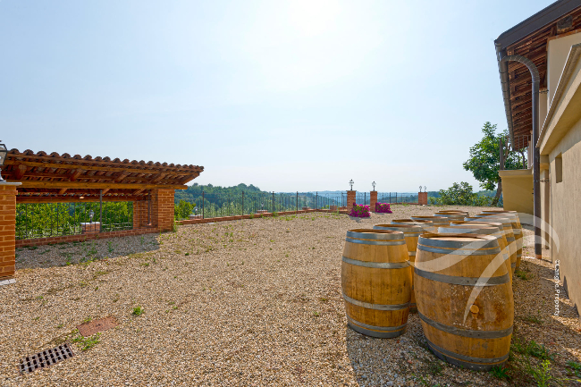 Unique wine property in stunning position