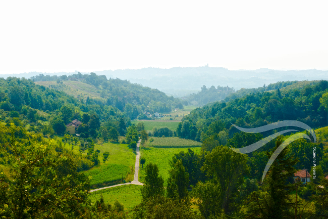 Unique wine property in stunning position