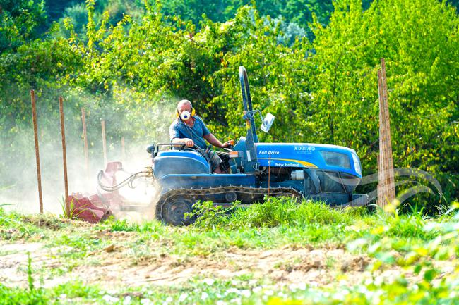 Unique wine property in stunning position