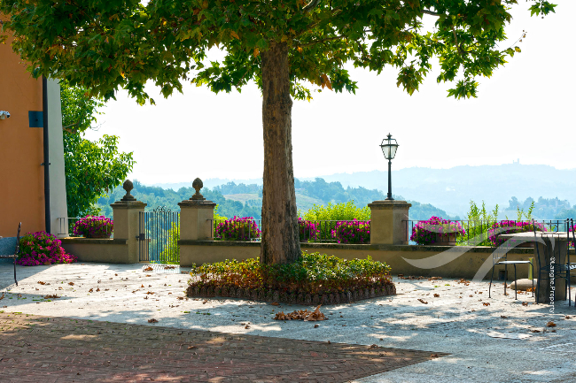 Unique wine property in stunning position