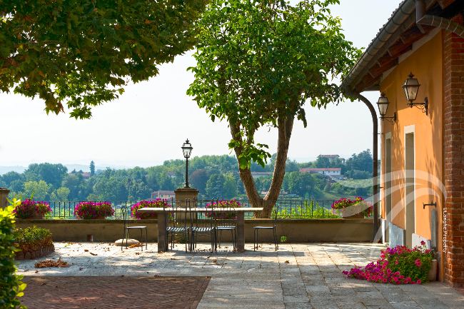 Unique wine property in stunning position